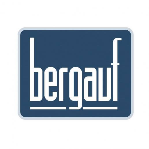 Клей Bergauf (3 вида)